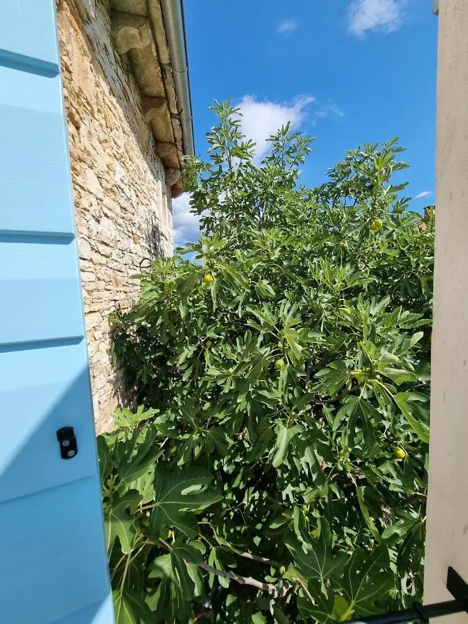 Casa Bella - Istrian Stone House Villa Jursici Holiday home